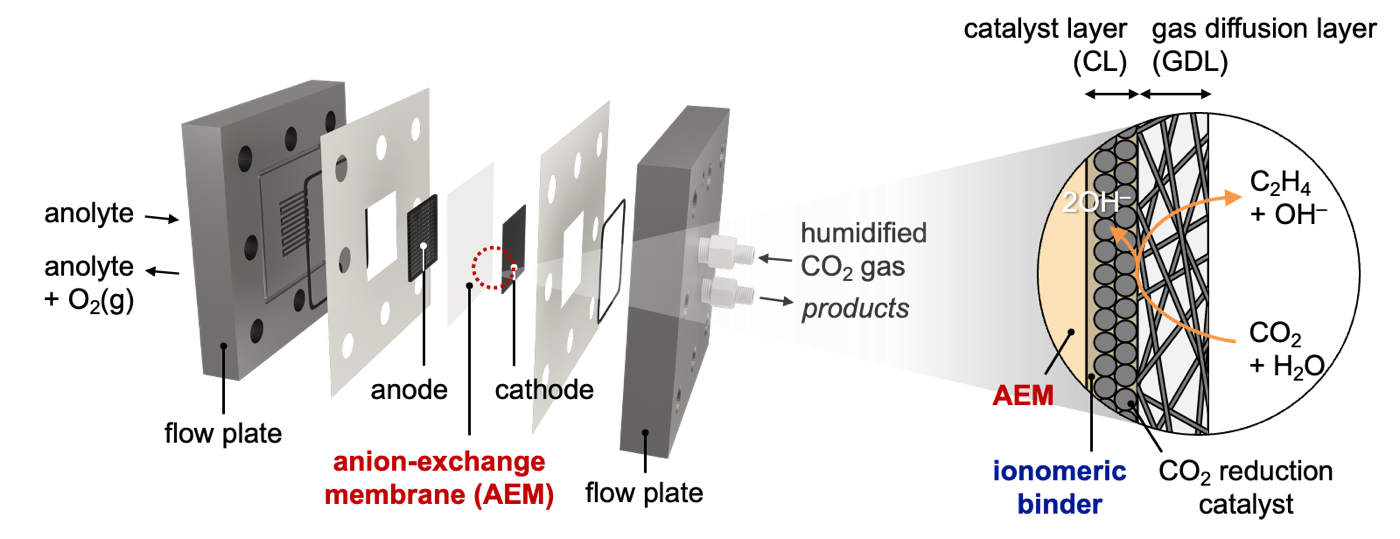 Schematic illustration of a zero-gap electrolyzer, with a zoom-in on the catalyst layer