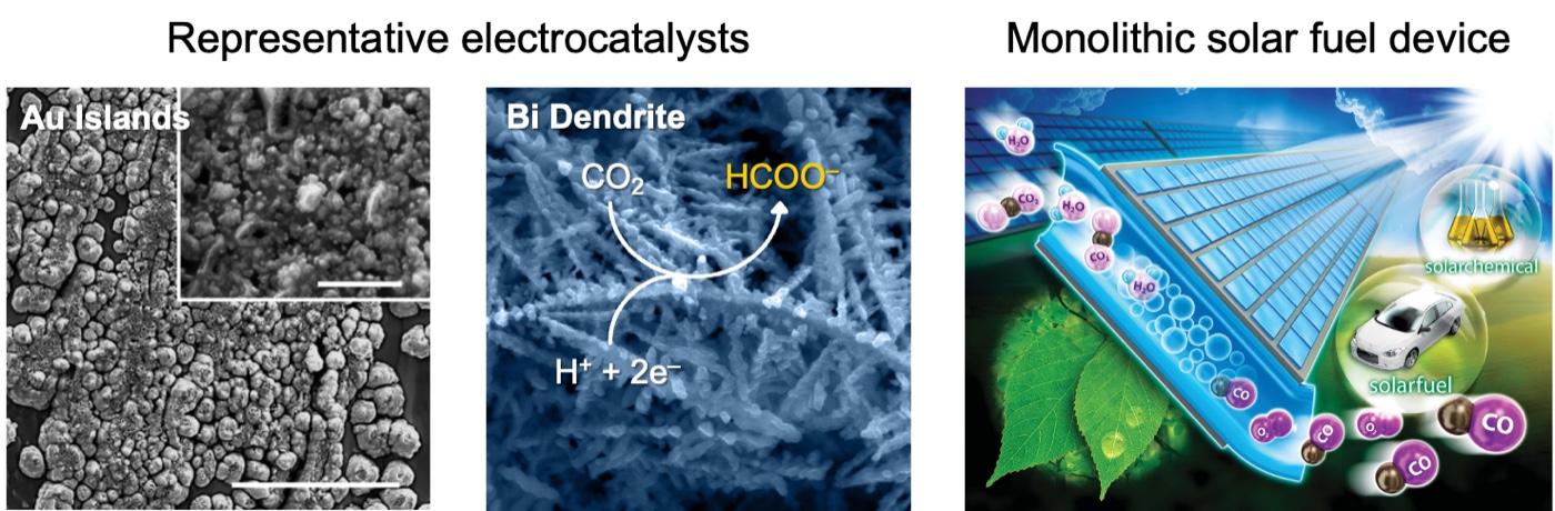 Representative electrocatalysts: gold islands, bismuth dendrites, and a monolithic solar fuel device
