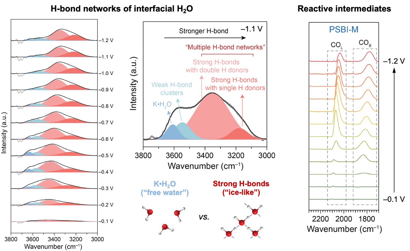 In situ vibrational spectroscopy of the catalyst&ndash;ionomer interface